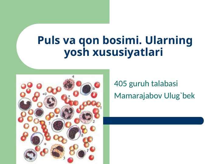 Puls va qon bosimi. Ularning yosh xususiyatlari
