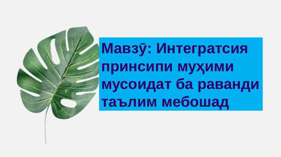 Интегратсия принсипи муҳими мусоидат ба раванди таълим мебошад
