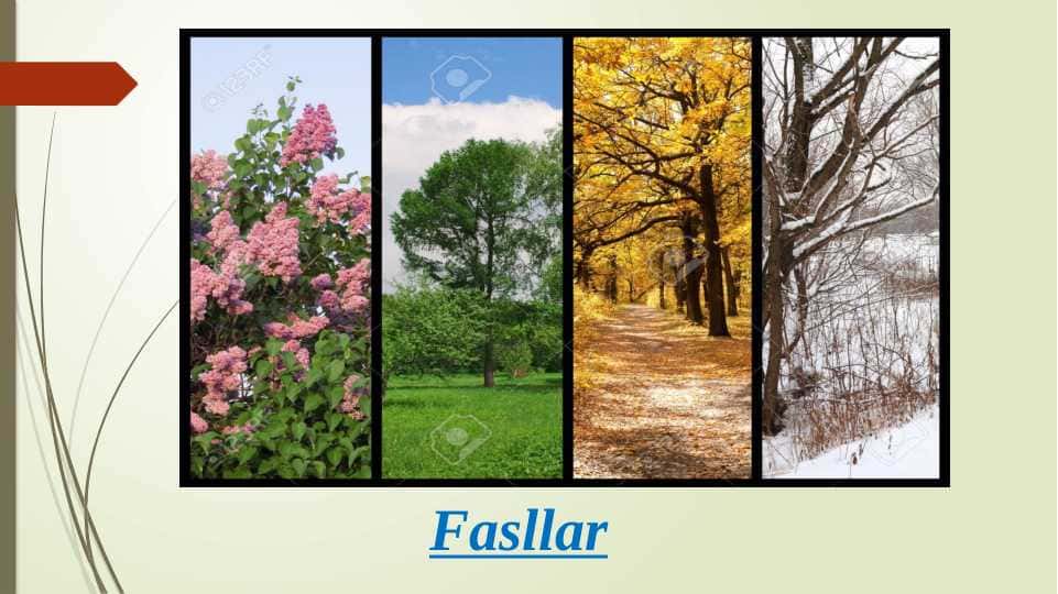 Fasllar