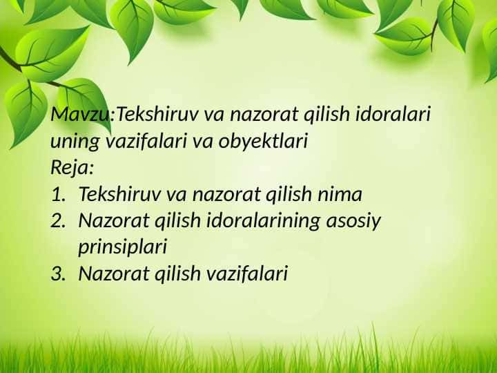 Tekshiruv va nazorat qilish idoralari uning vazifalari va obyektlari