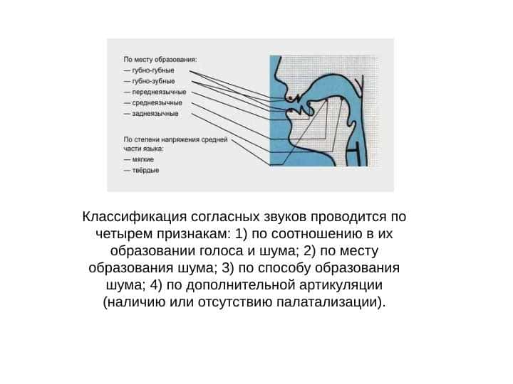 Классификация звуков