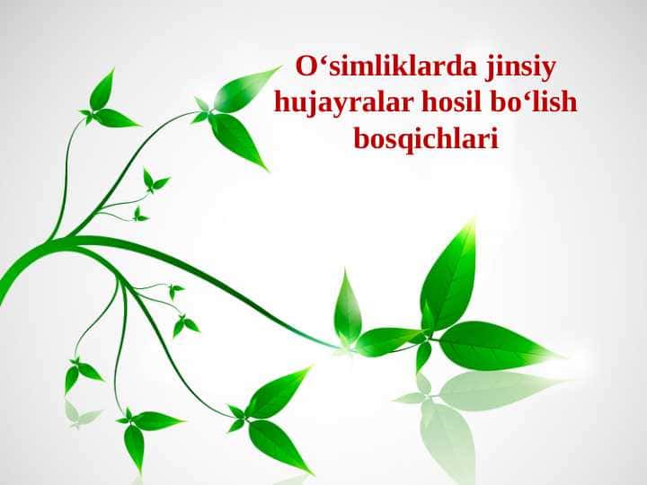 Oʻsimliklarda jinsiy hujayralar hosil boʻlish bosqichlari