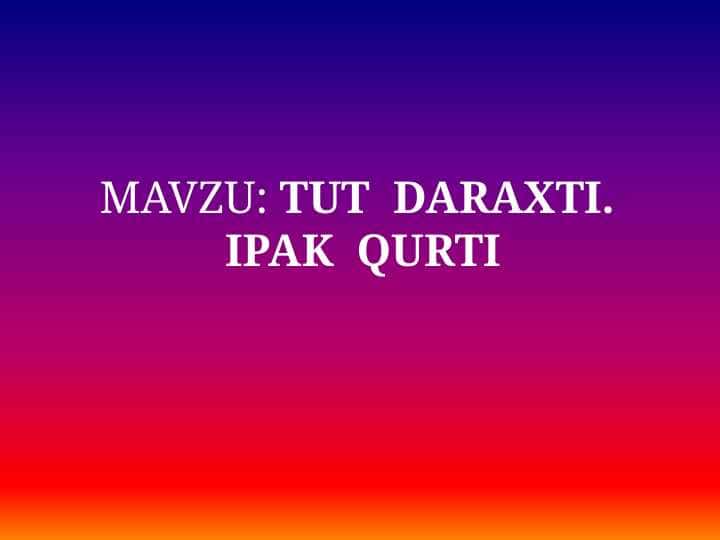 TUT DARAXTI. IPAK QURTI