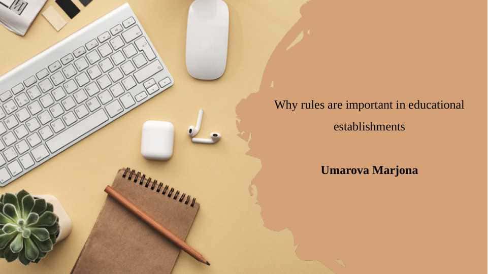 Why rules are important in educational establishments