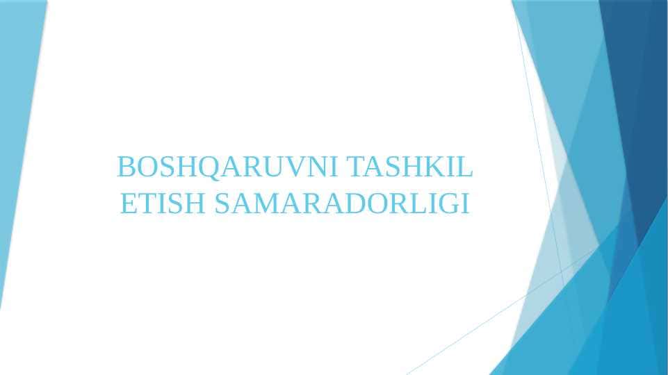 BOSHQARUVNI TASHKIL ETISH SAMARADORLIGI