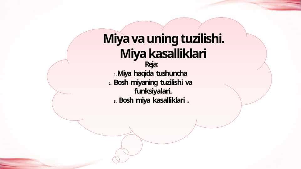 Miya va uning tuzilishi. Miya kasalliklari