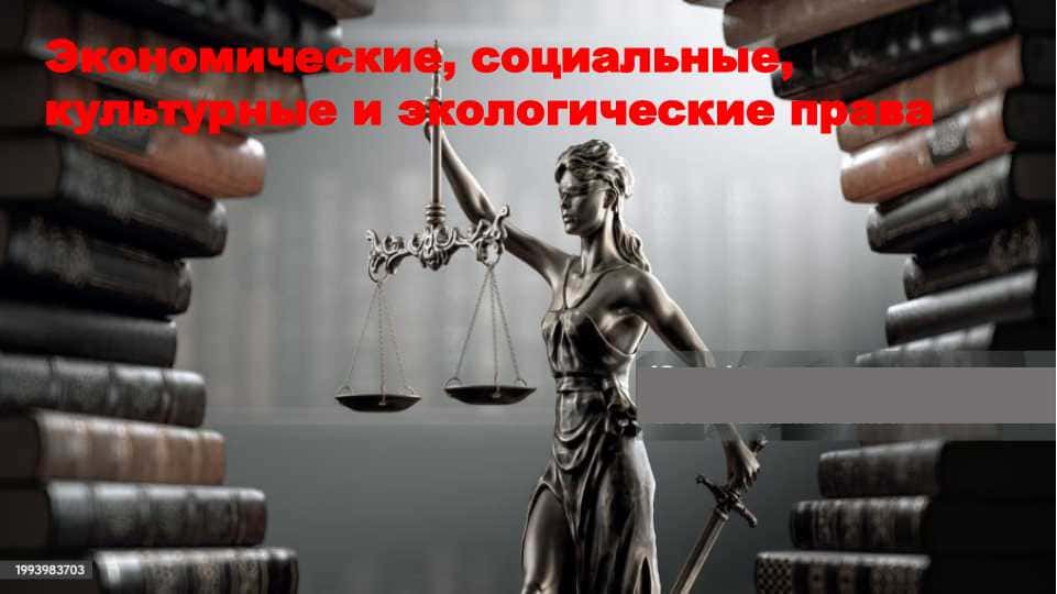 Экономические, социальные, культурные и экологические права