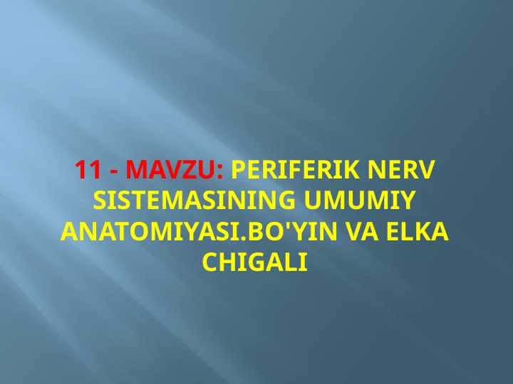 Periferik nerv sistemasining umumiy anatomiyasi.Bo'yin va elka chigali