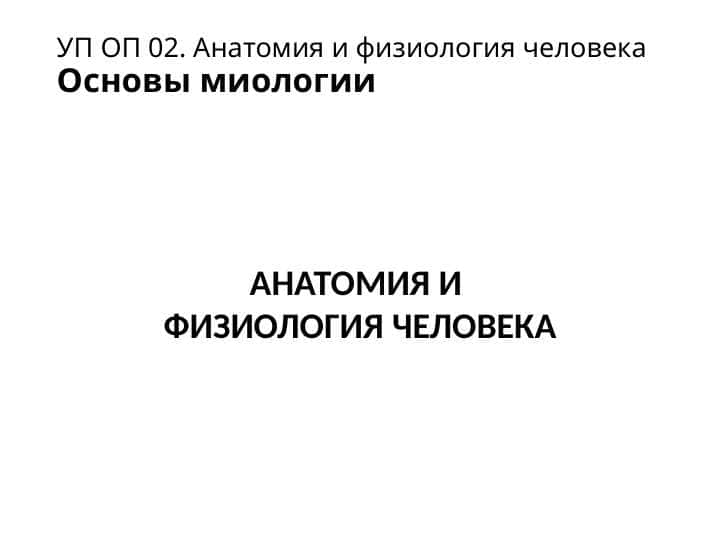 анатомия и физиология человека