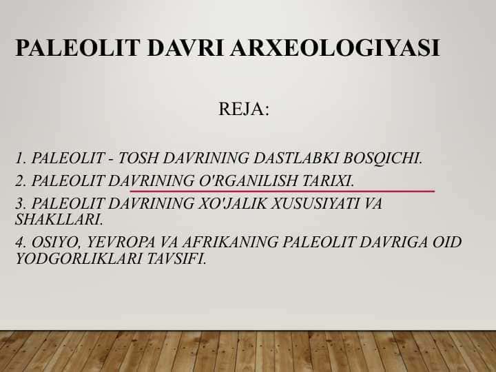 Paleolit davri arxeologiyasi
