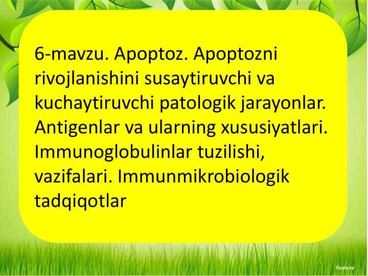 Apoptoz