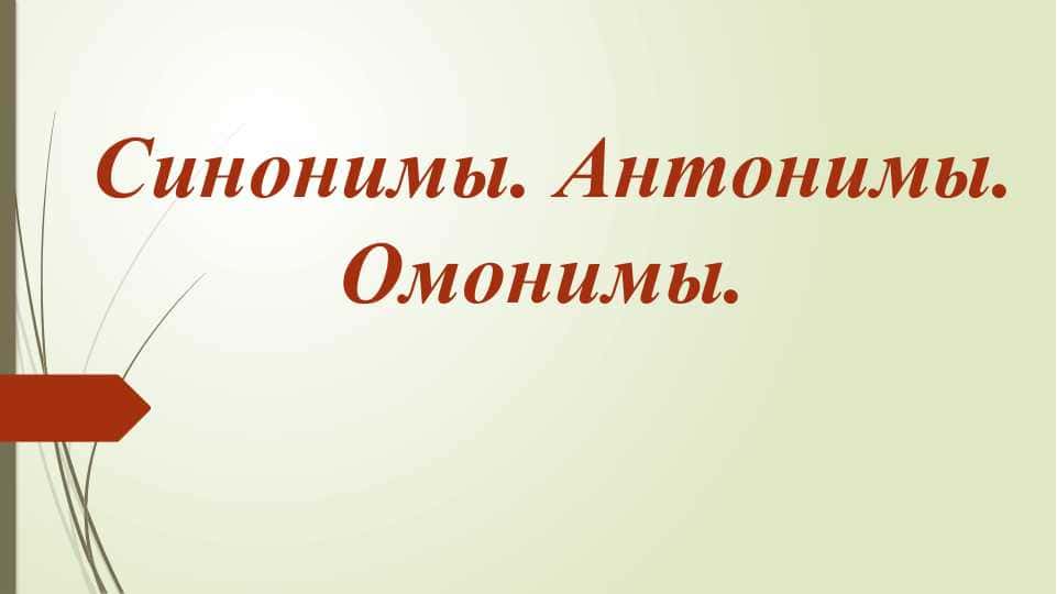Синонимы. Антонимы. Омонимы.