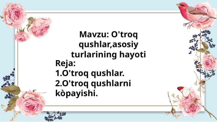 O'troq qushlar,asosiy turlarining hayoti
