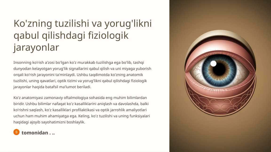 Ko'zning tuzilishi va yorug'likni qabul qilishdagi fiziologik jarayonlar