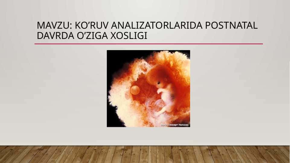 : ko’ruv analizatorlarida postnatal davrda o’ziga xosligi