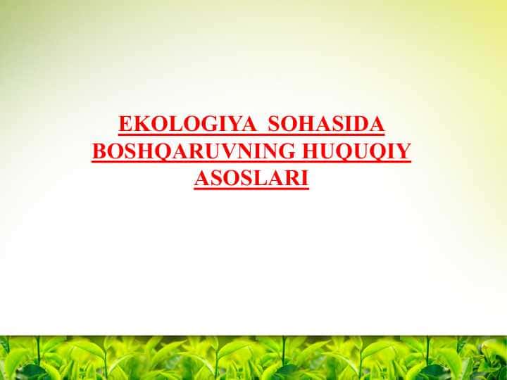 eKologiya sohasida boshqaruvning huquqiy asoslari