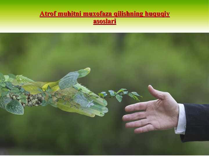 Atrof muhitni muxofaza qilishning huquqiy asoslari