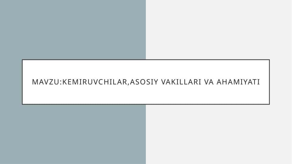 kemiruvchilar,asosiy vakillari va ahamiyati