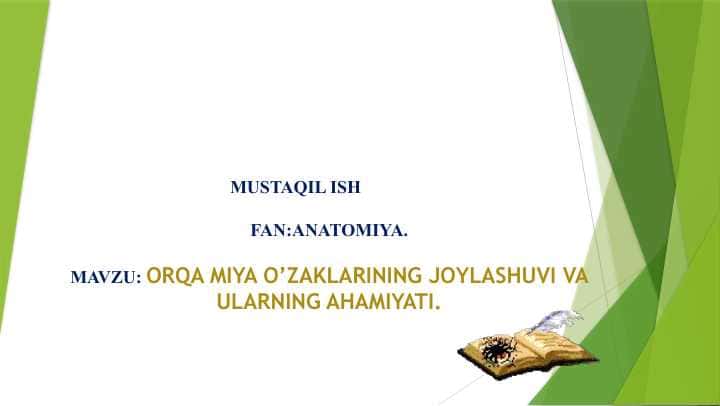 ORQA MIYA O’ZAKLARINING JOYLASHUVI VA ULARNING AHAMIYATI