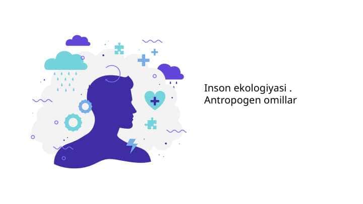 Inson ekologiyasi . Antropogen omillar
