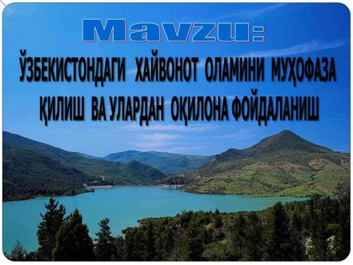 ЎЗБЕКИСТОНДАГИ ХАЙВОНОТ ОЛАМИНИ МУҲОФАЗА