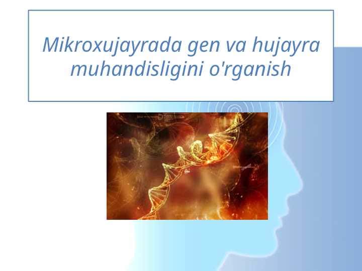 Hujayra muhandisligi texnologiyasi