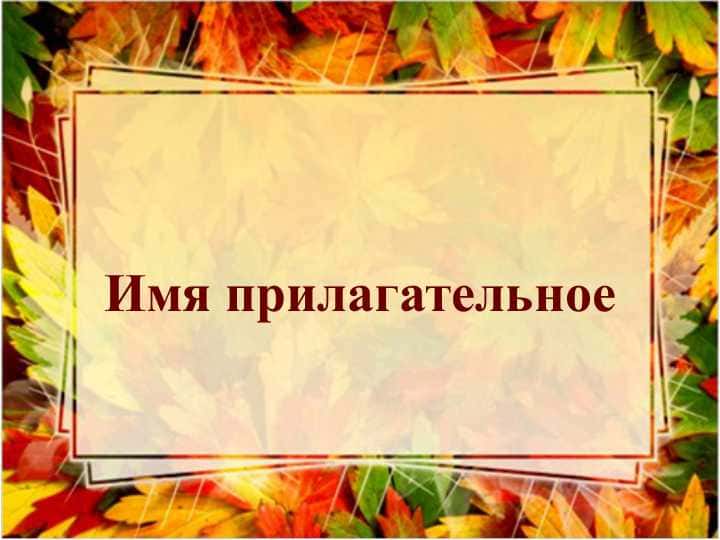 Имя прилагательное