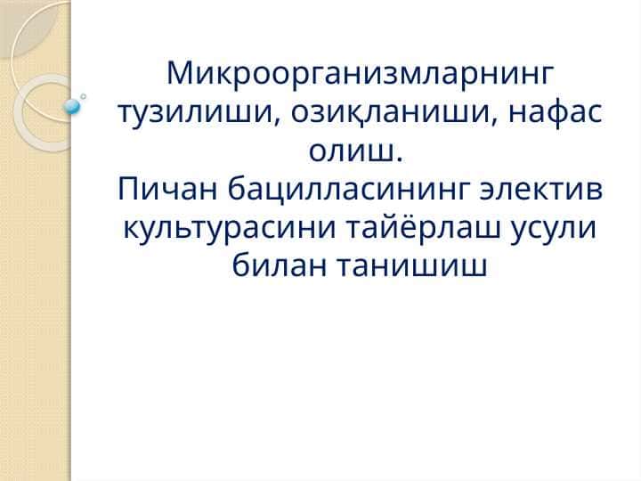 Микроорганизмларнинг тузилиши, озиқланиши, нафас олиш. Пичан бацилласининг электив культурасини тайёрлаш усули билан танишиш