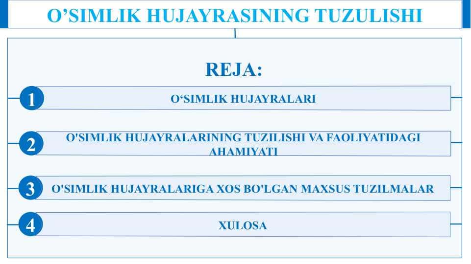 O’SIMLIK HUJAYRASINING TUZULISHI