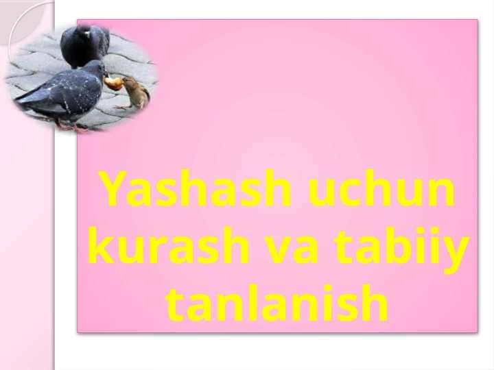 Yashash uchun kurash va tabiiy tanlanish