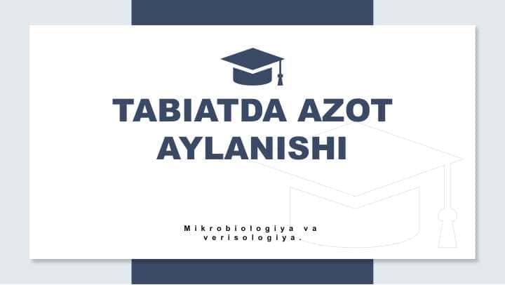 Tabiatda azot aylanishi