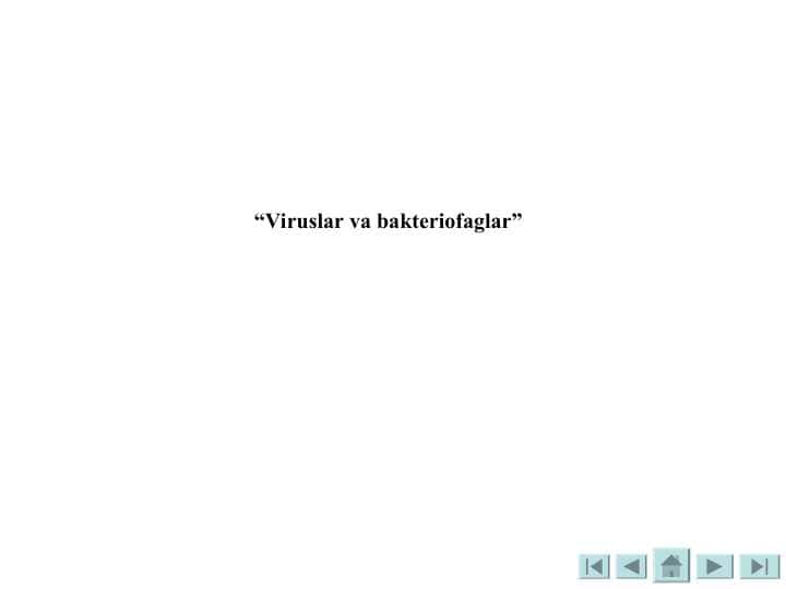 Viruslar va bakteriofaglar