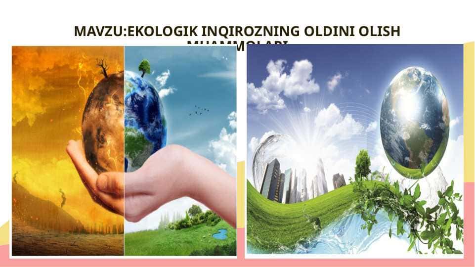 EKOLOGIK INQIROZNING OLDINI OLISH MUAMMOLARI