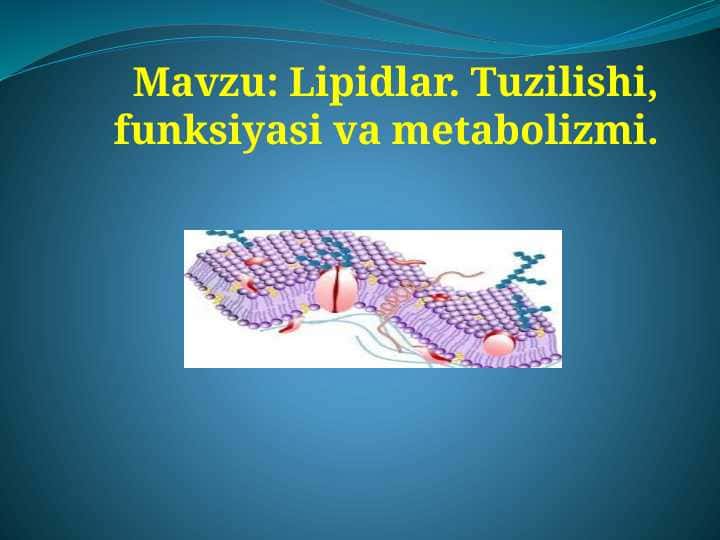 Lipidlаr. Tuzilishi, funksiyasi vа metаbolizmi