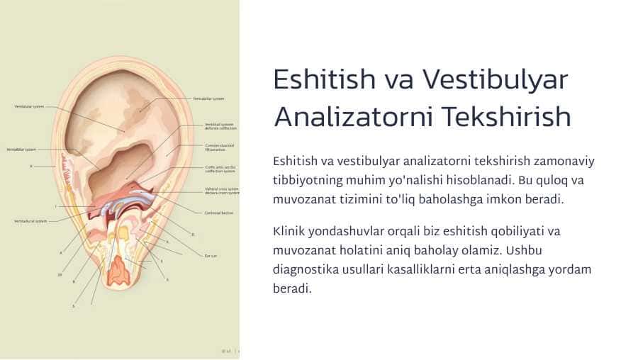 Eshitish va vestibulyar analizatorini tekshirish.