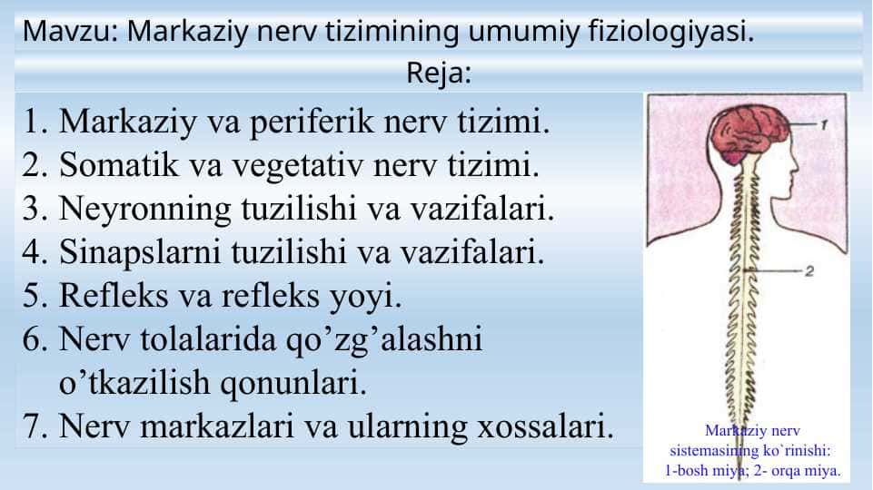 Markaziy nerv tizimining umumiy fiziologiyasi