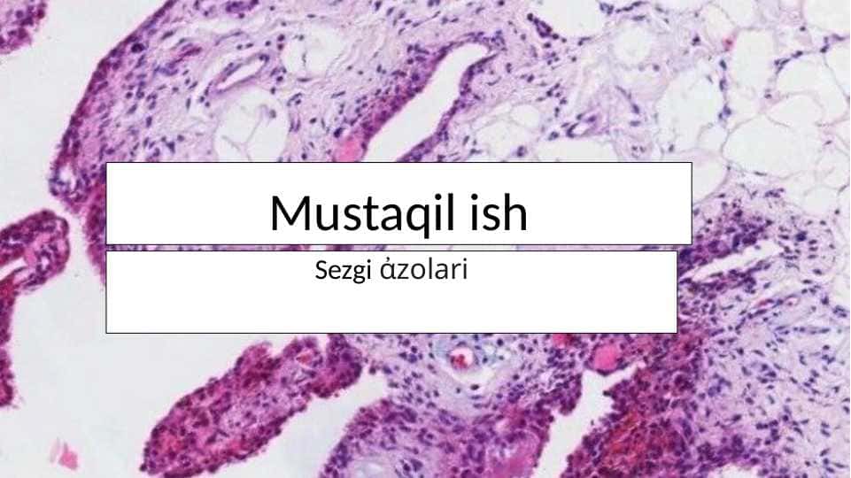 Sezgi azolari gistologiyasi