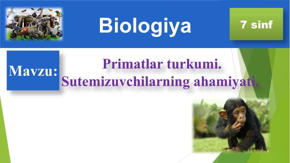 Primatlar turkumi. Sutemizuvchilarning ahamiyati