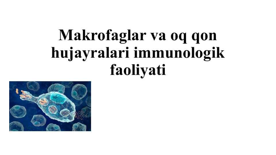 Makrofaglar va oq qon hujayralari immunologik faoliyati