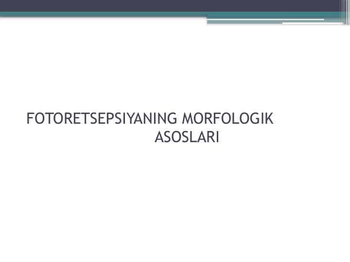 FOTORETSEPSIYANING MORFOLOGIK ASOSLARI