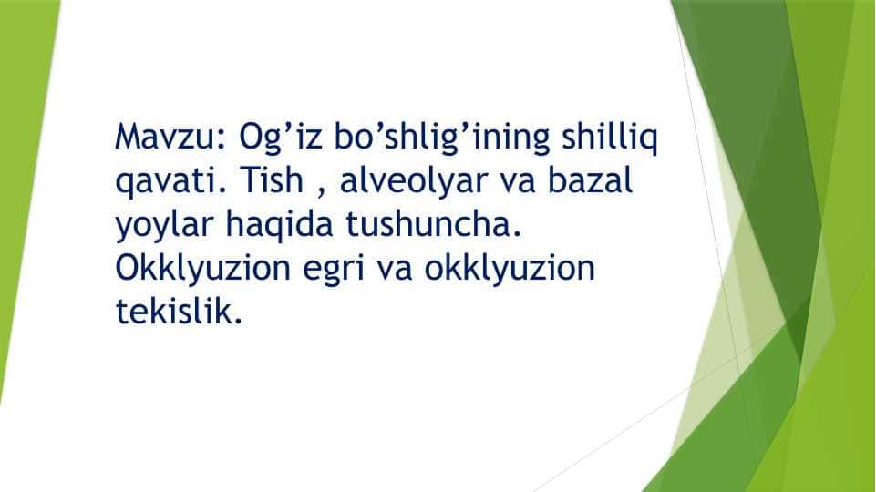 Og’iz bo’shlig’ining shilliq qavati. Tish , alveolyar va bazal yoylar haqida tushuncha. Okklyuzion egri va okklyuzion tekislik.