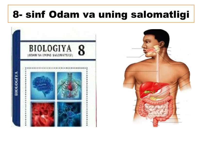 8- sinf Odam va uning salomatligi