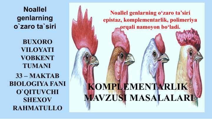 Noallel genlarning o`zaro ta`siri