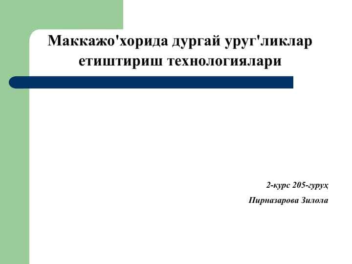 Маккажо'хорида дургай уруг'ликлар етиштириш технологиялари