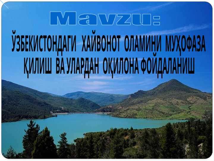 ЎЗБЕКИСТОНДАГИ ХАЙВОНОТ ОЛАМИНИ МУҲОФАЗА ҚИЛИШ ВА УЛАРДАН ОҚИЛОНА ФОЙДАЛАНИШ