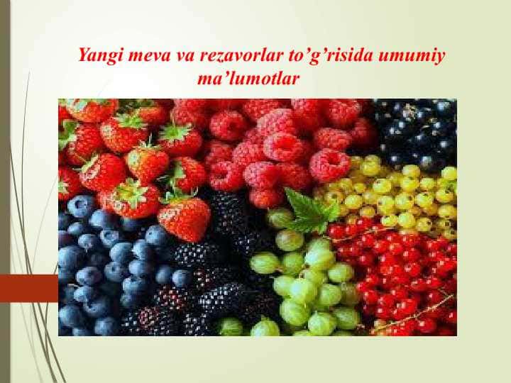 Yangi meva va rezavorlar to’g’risida umumiy ma’lumotlar