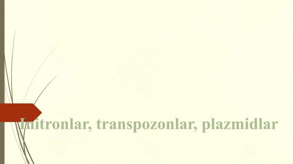 Initronlar, transpozonlar, plazmidlar