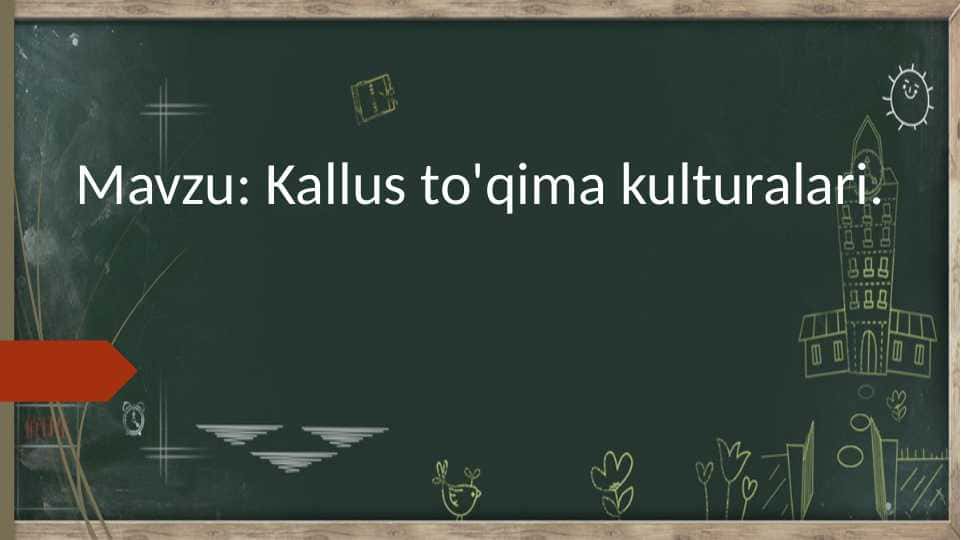 Kallus to'qima kulturalari