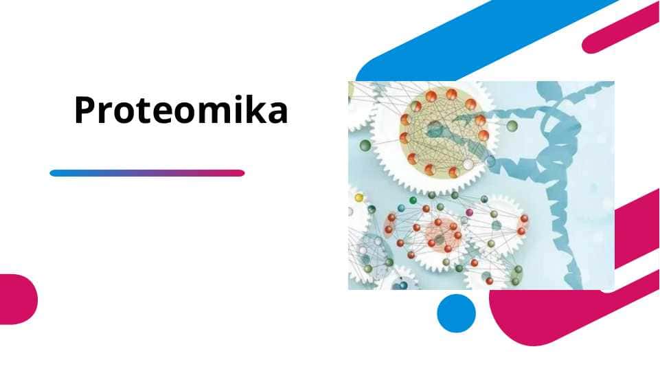 Proteomika