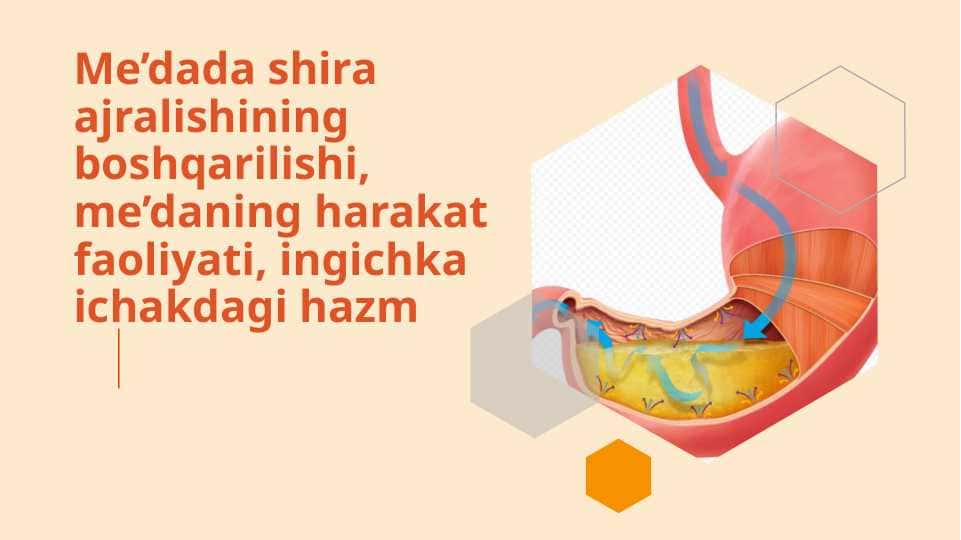 Fiziologiya Me’dada shira ajralishining boshqarilishi, me’daning harakat faoliyati, ingichka ichakdagi hazm
